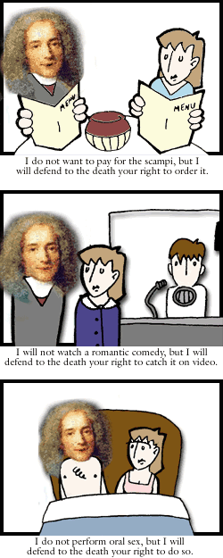 Dating Voltaire Illustrated