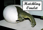 [ Hatchling Omelet ]