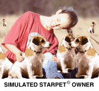 [ Simulated StarPets Owner ]